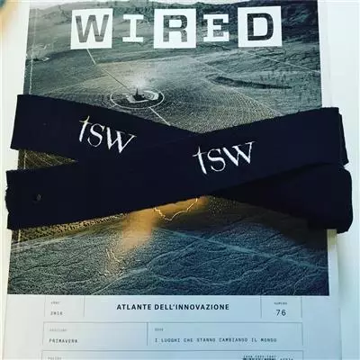 Alumni al Wired Next Festival 2016 con TSW